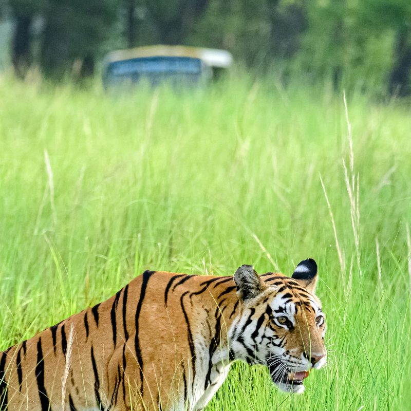 images/insta/Uttarakhand Tour Package 6 Nights 7 Days 2.jpg
